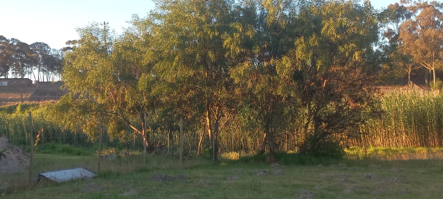 0 Bedroom Property for Sale in Albertinia Western Cape